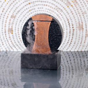 Ioniseur + transfo pour 15140010 