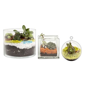 Nid en verre