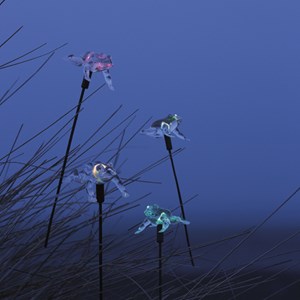 Grenouille pour 50160500