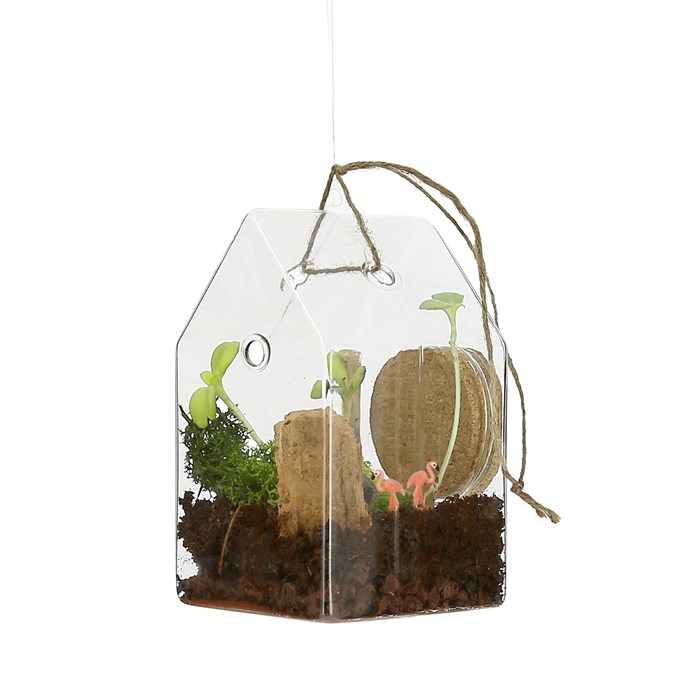 Terrarium à composer soimême Nature & Découvertes