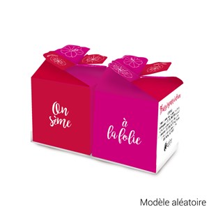 Duo de fleurs à semer en pot