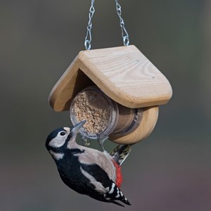 Maison distributeur beurre de cacahuètes