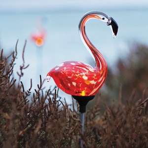 Flamant rose solaire