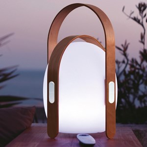 Télécommande pour 50161800