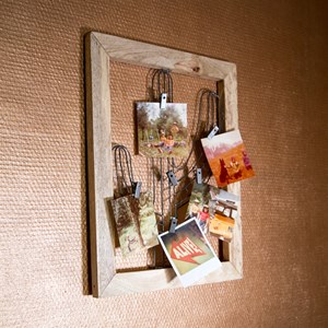 Porte-photo cactus