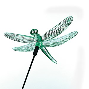 Libellule solaire