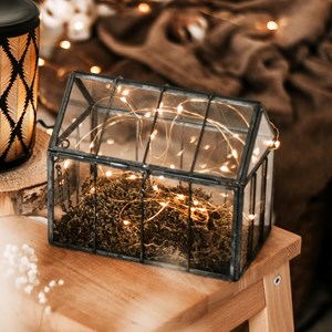 Mini serre en zinc