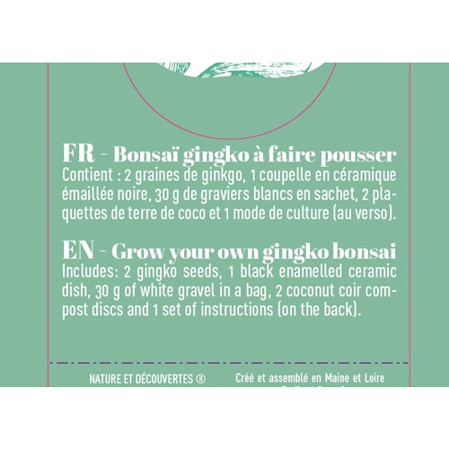 Bonsaï Gingko À Faire Pousser à Prix Carrefour