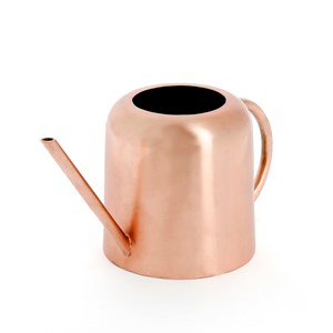 Arrosoir à long bec