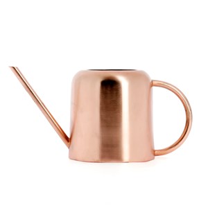 Arrosoir à long bec