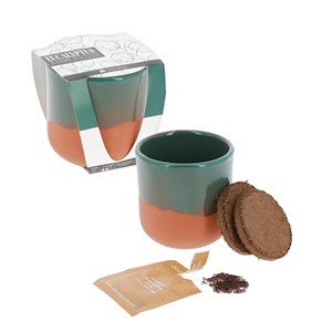 Kit eucalyptus à faire pousser