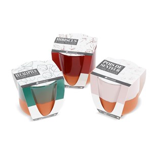 Kit eucalyptus à faire pousser