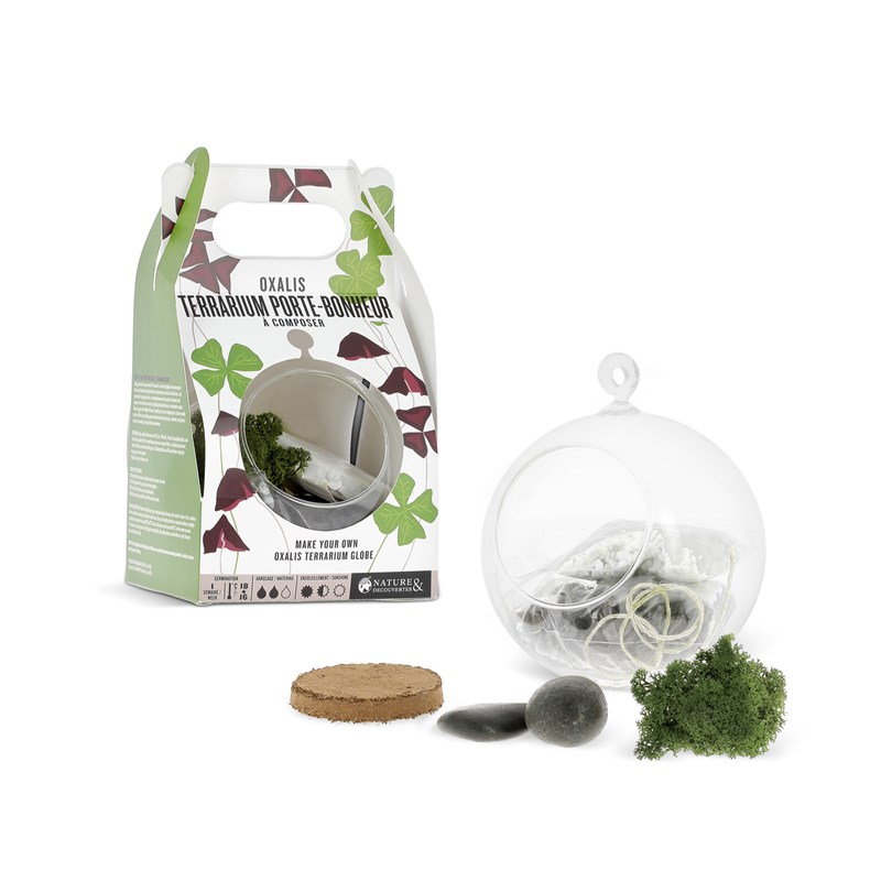 Nature & Découvertes - Terrarium boule Oxalis
