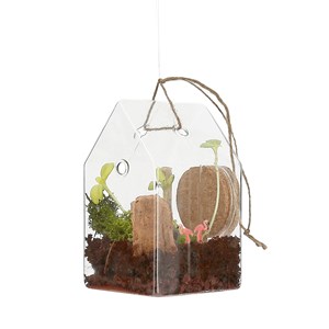 Verrerie pour terrarium DIY