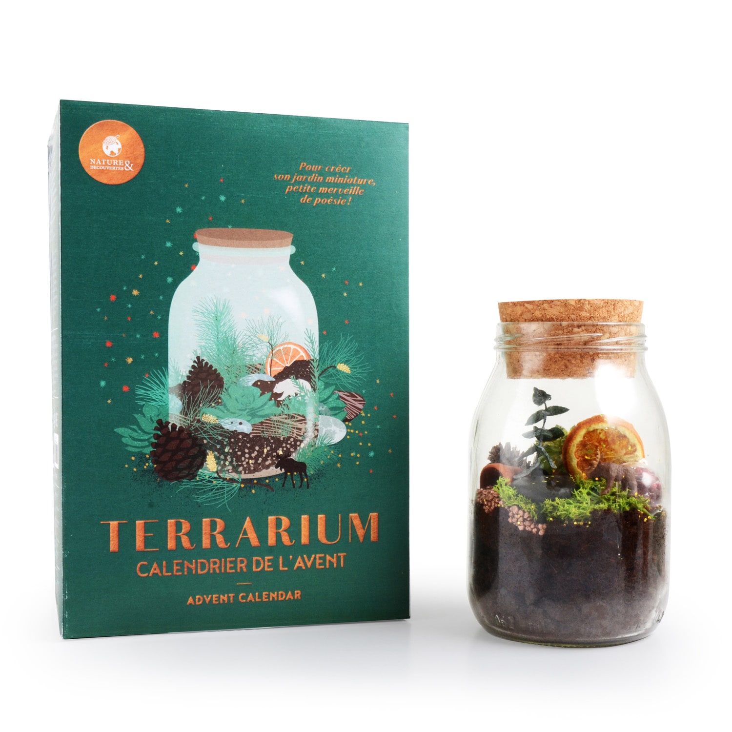 Calendrier De Lavent Terrarium 2019