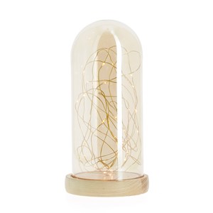 Cloche de verre et sa guirlande