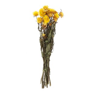 Fleurs séchées hélichryses