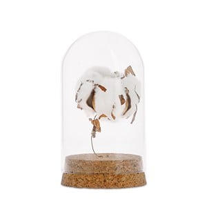 Cloche en verre coton