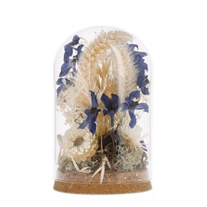 Cloche en verre et fleurs séchées