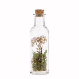 Bouteille fleurs de riz