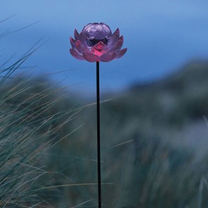 Boitier pour 50168150