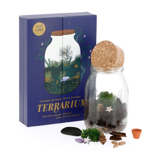 Calendrier de l'Avent terrarium 2020 | Nature & Découvertes