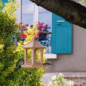 Mangeoire kiosque Brocéliande