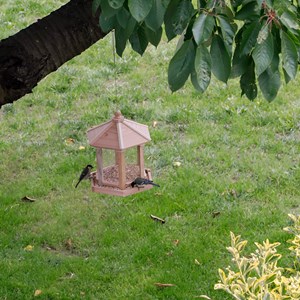Mangeoire kiosque Brocéliande