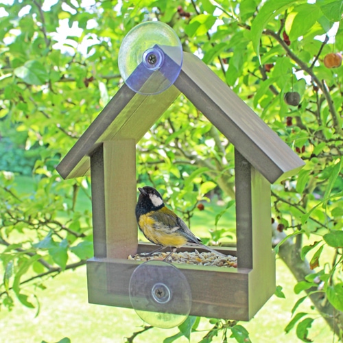 YiYLunneo Mangeoire à oiseaux pour fenêtre à 180 ° - Regardez les oiseaux  sauvages de la maison - Recharge facile - Durable et sûre - Expérience de