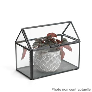 Mini serre en verre