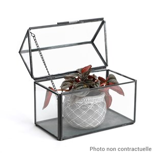 Mini serre en verre