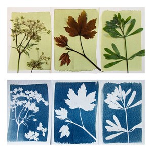 Coffret complet découverte Cyanotype