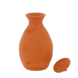 Oya bulle d'arrosage à enterrer