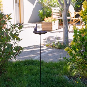 Abreuvoir pour oiseaux