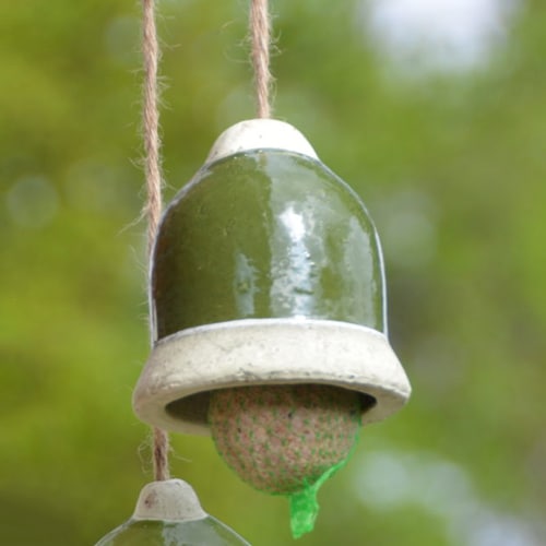 Aider les oiseaux en fabriquant des mangeoires et des boules de graisse -  Biodiv'ille