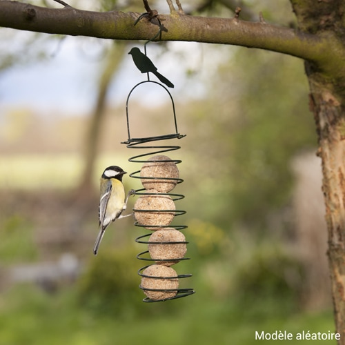Réalisez vos propres boules de graisse pour les oiseaux - Notre Nature
