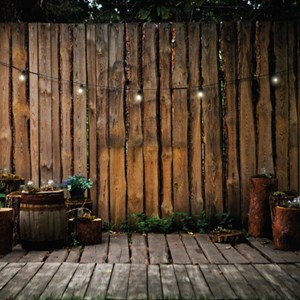 Ampoules pour 50170420