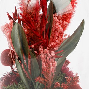 Cloche de fleurs séchées rouges
