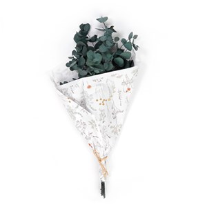Bouquet d'eucalyptus stabilisé