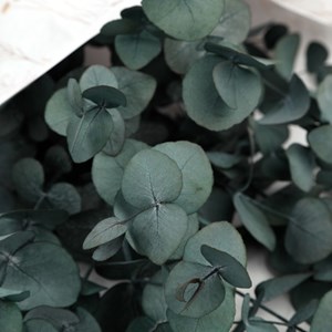 Bouquet d'eucalyptus stabilisé