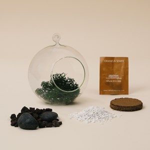 Terrarium porte-bonheur à composer