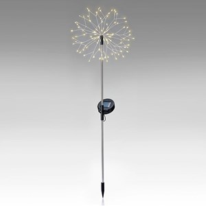 Fleur de pissenlit solaire à planter