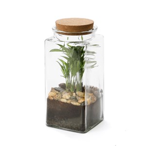Terrarium Quitto medium