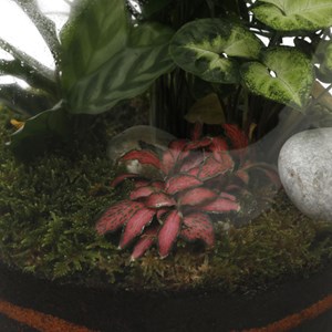 Terrarium autonome Boltom