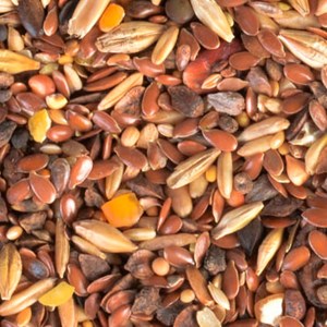 Coffret accueillir les oiseaux du jardin