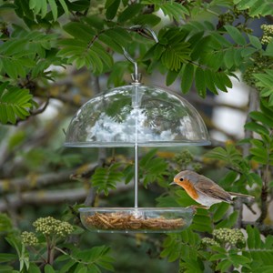 Coffret prendre soin des rouges-gorges
