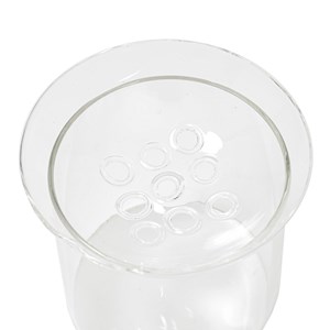 Vase de germination en verre XL