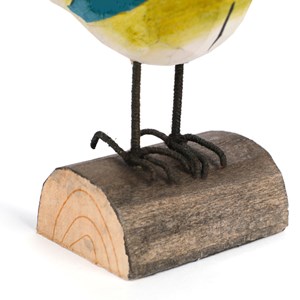 Mésange bleue sur buchette