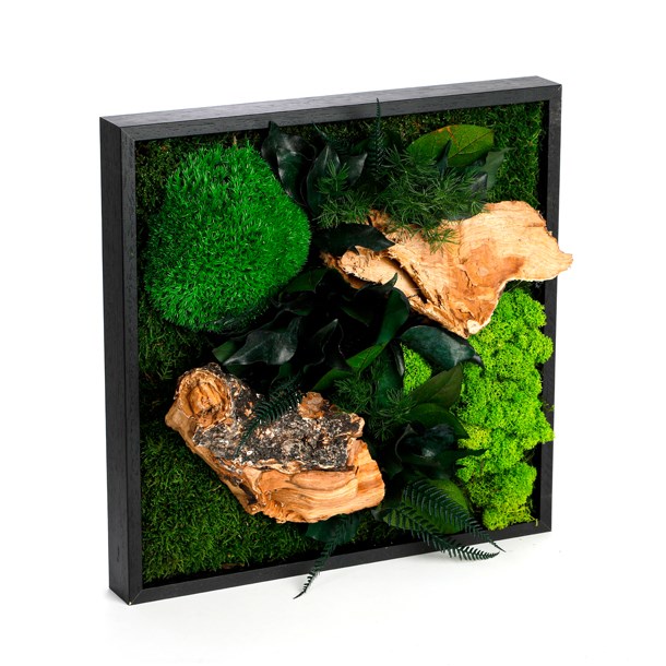 Nature & Découvertes - Tableau végétaux stabilisés 35x35cm