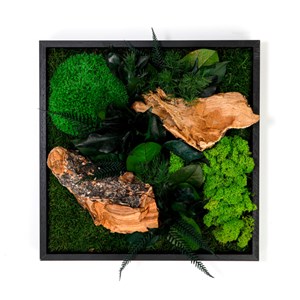 Tableau végétaux stabilisés 35x35cm